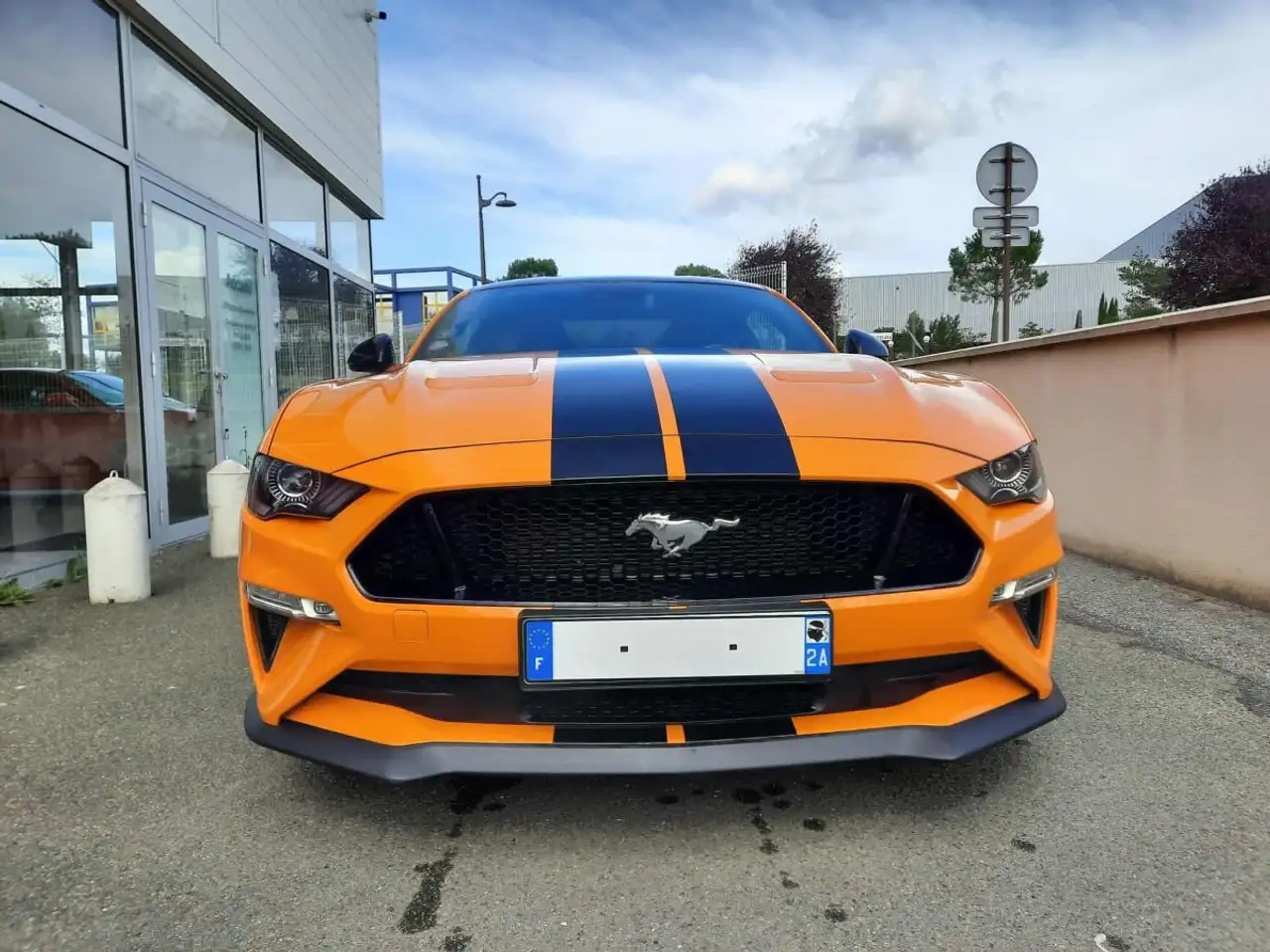 MustangVI (2) FASTBACK 5.0 V8 GT BV6