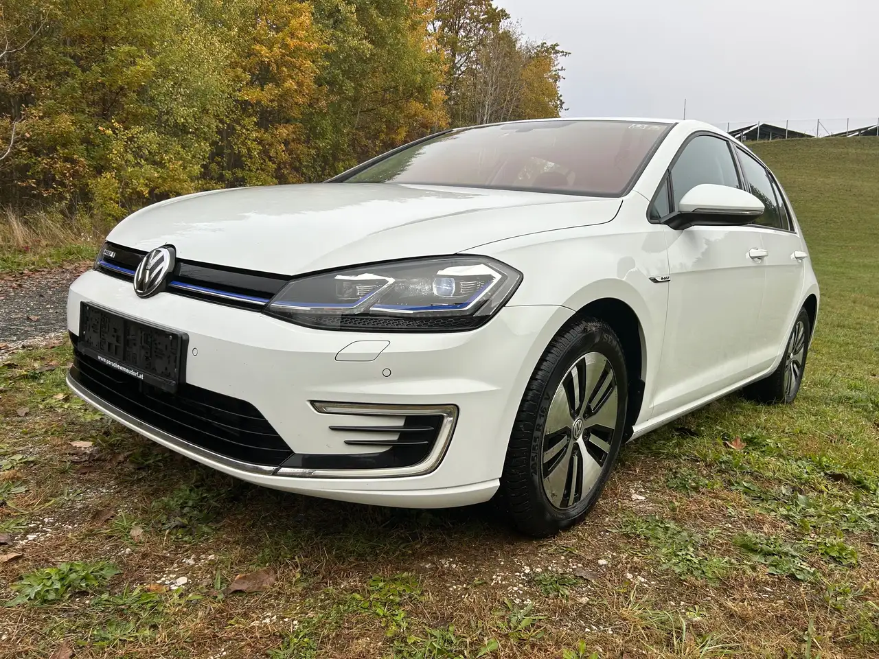 e-Golfe-Golf 35,8kWh (mit Batterie)
