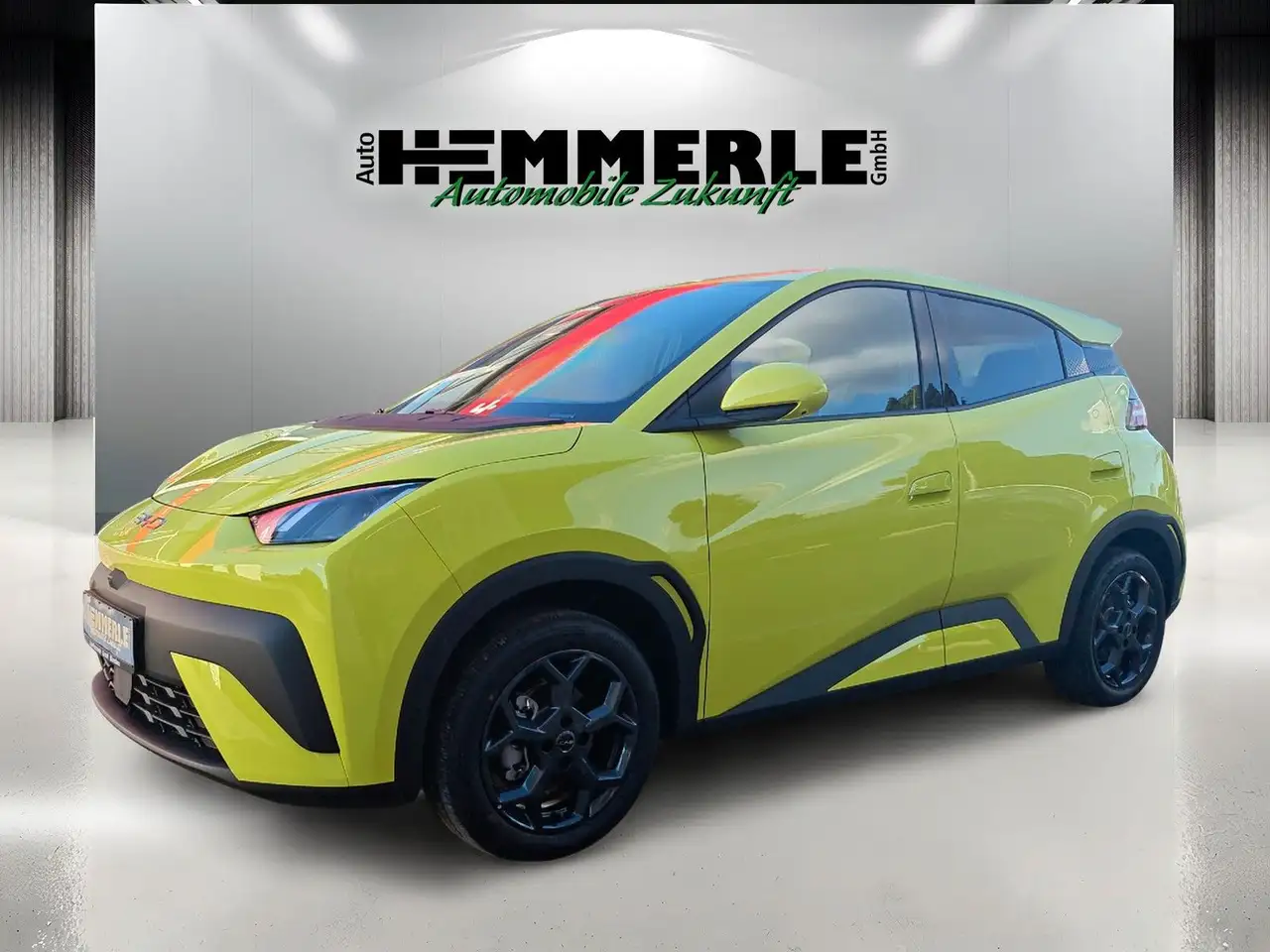 DolphinSURF Comfort*360 Kamera*SHZ*Freisprech*