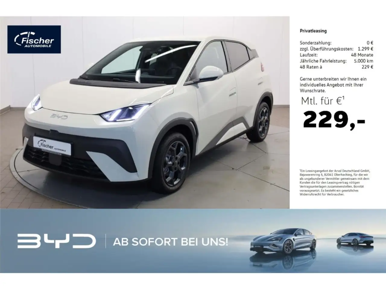 DolphinElektro Comfort