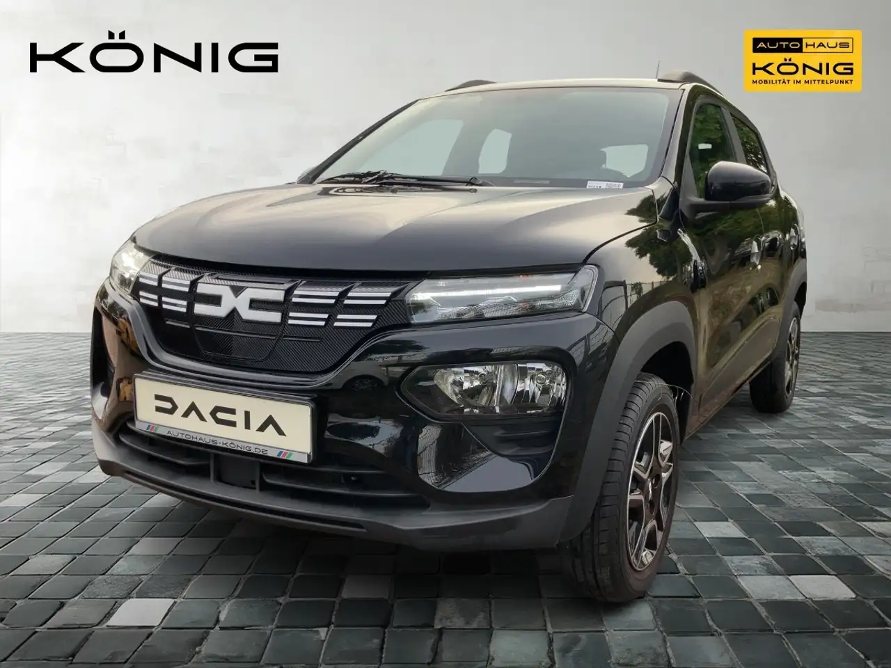 SpringElectric Essential 45 Rückfahrkamera