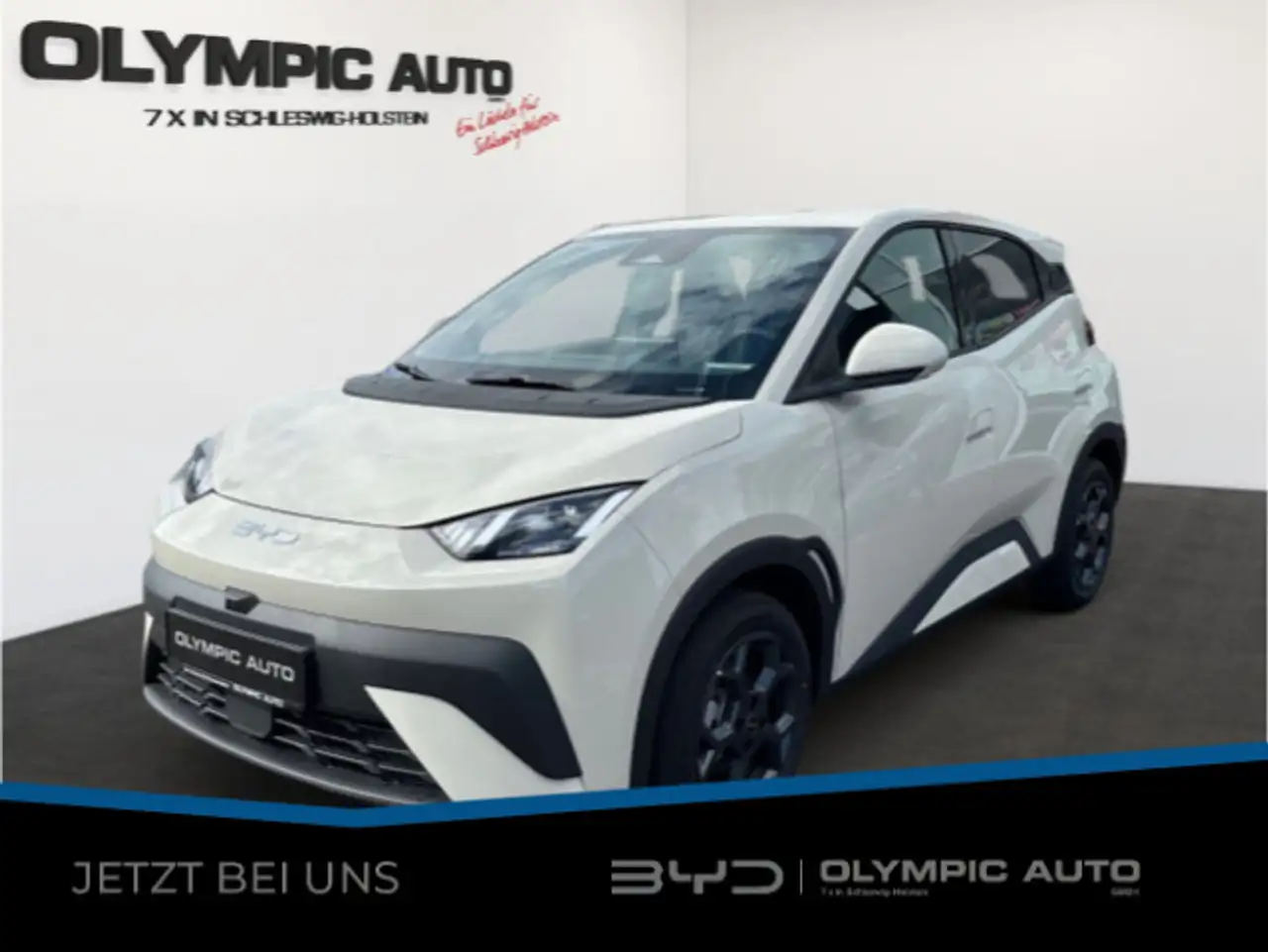 DolphinDolphin Surf Comfort 43kWh 360°KAMERA LED SITZHZ