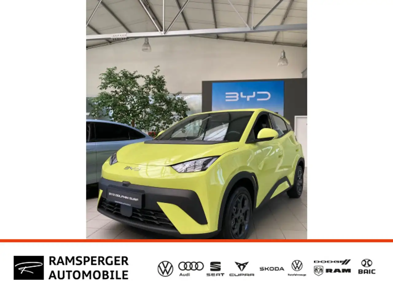 DolphinDolphin Surf Active !!Black Friday Special!!