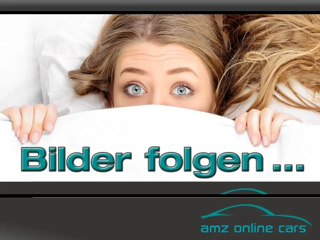 Tourneo CustomActive L2 Aut. 4WD B&O Standheiz