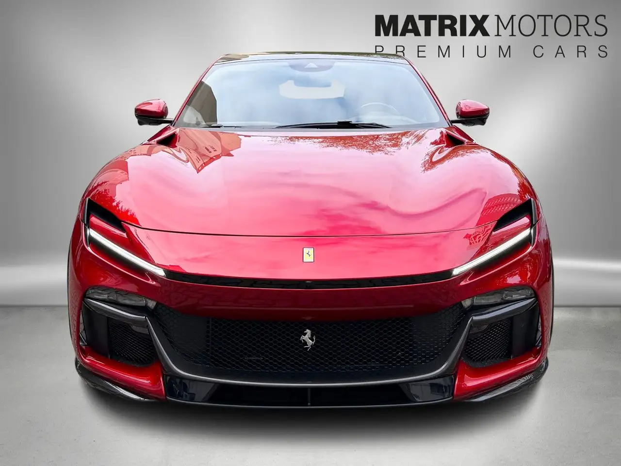 PurosangueFull Carbon Massage heated&cooled