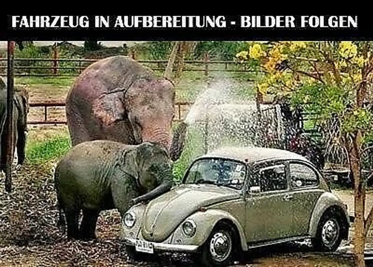 Бэкграунд машины