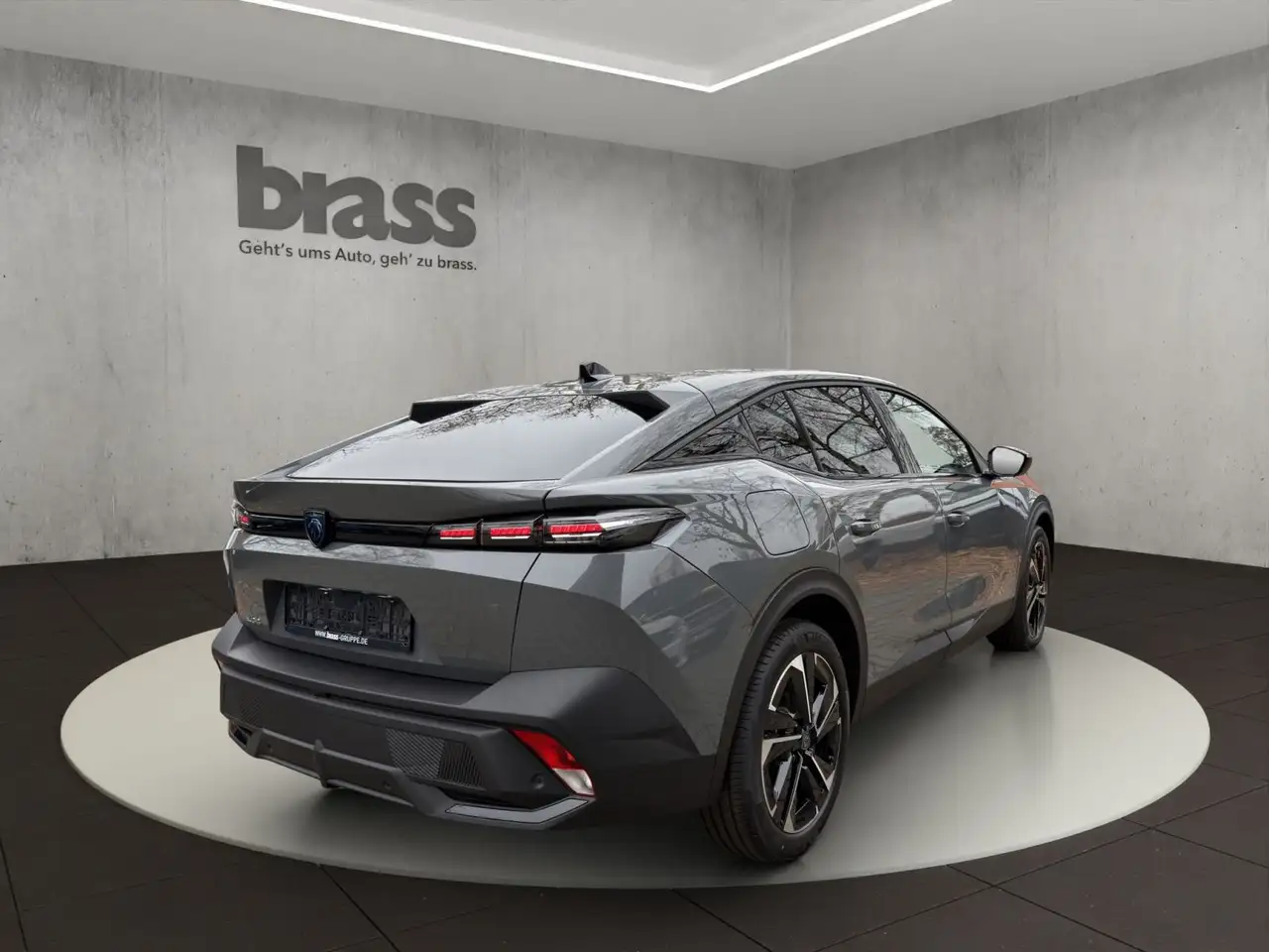 408Allure HYBRID 145 e-DSC6