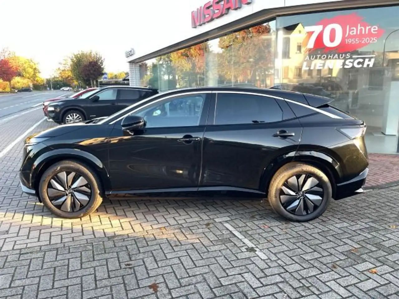 AriyaAdvance Pack 87 KW