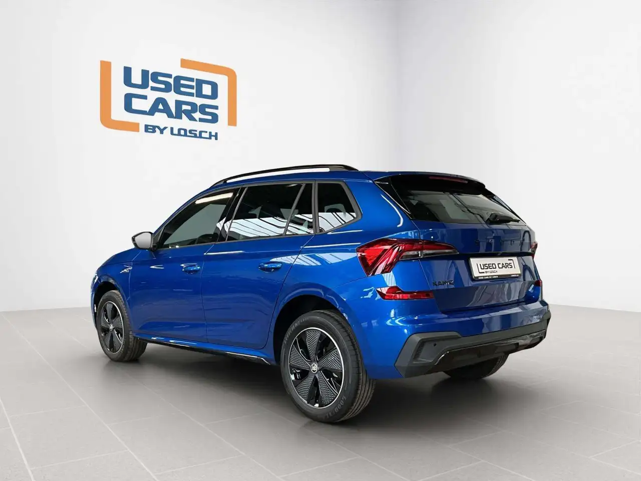 KamiqMonte-Carlo+DSG+P.Ass.+P.Park