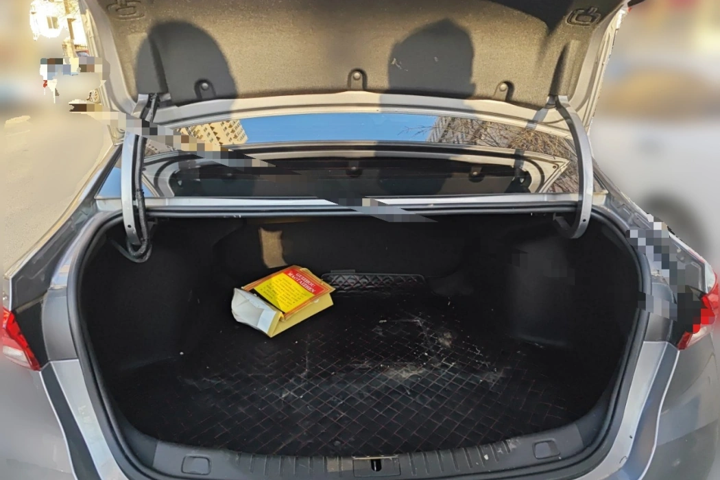 Buick Weilang 2022 Pro 533T Enjoy Edition