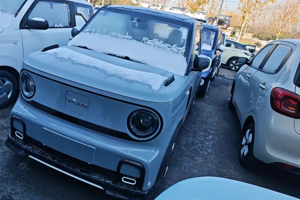 Geely Galaxy 2025 210km Panda Cardin