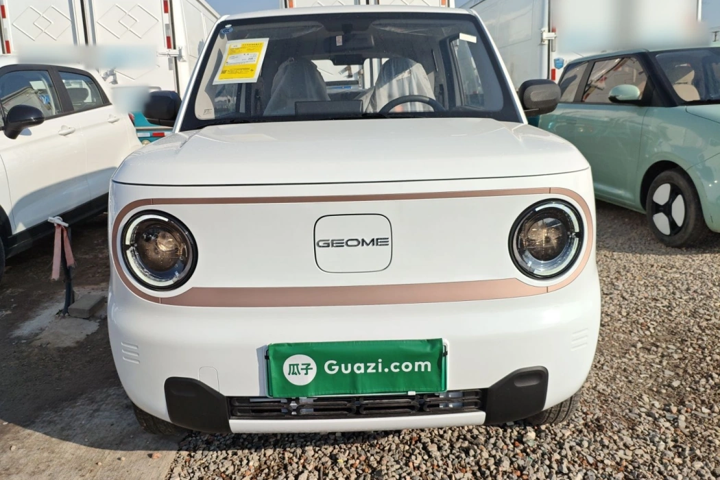 Geely Galaxy 2024 Panda mini 200km Endurance Bear