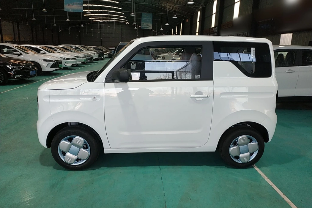 Geely Galaxy 2024 Panda mini 200km Endurance Bear