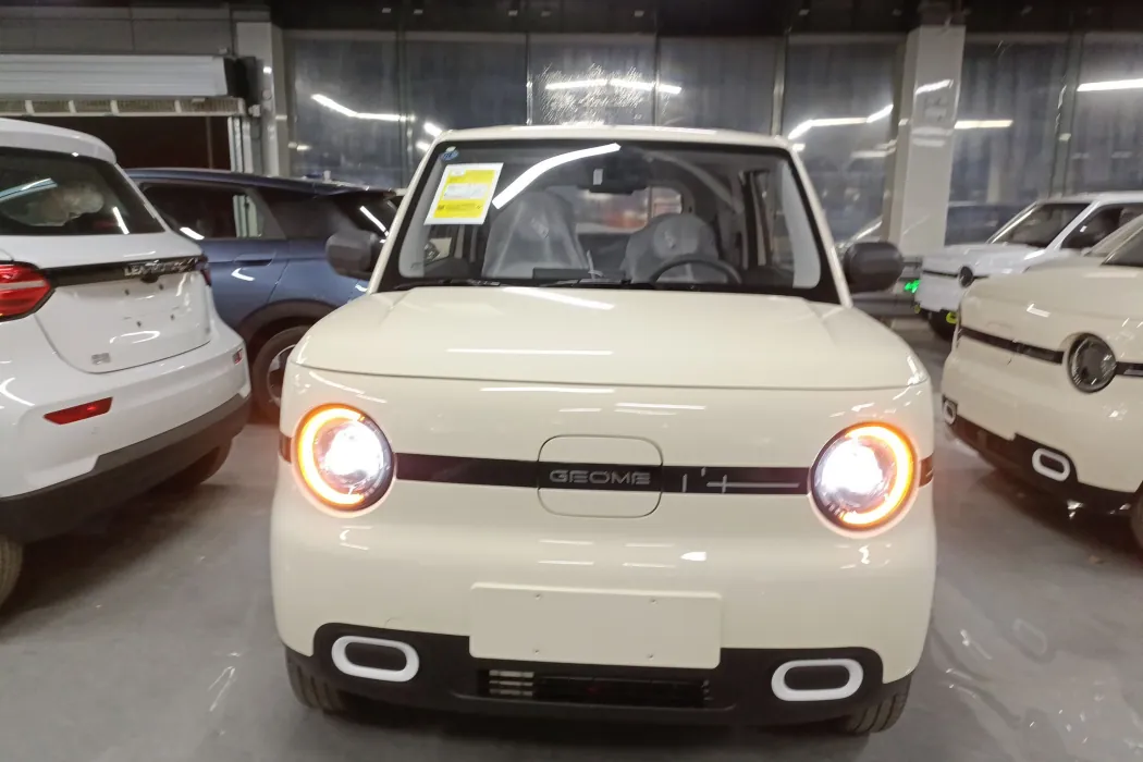 Geely Galaxy Panda 2025 210km Vitality Bear