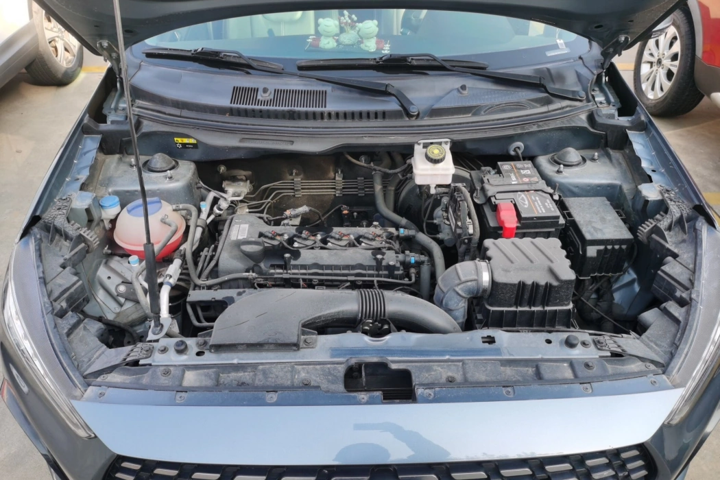 Chery Tiggo 3X 2021 PLUS 1.5L CVT Happy Red Date Edition Type II