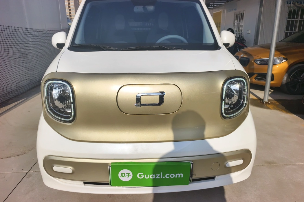 Pentium Pony 2025 222km Lightning Horse