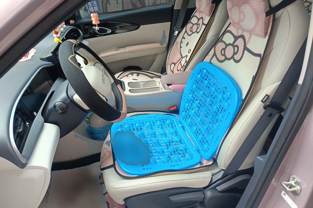 Geely Galaxy Wish 2025 310km Youth Edition