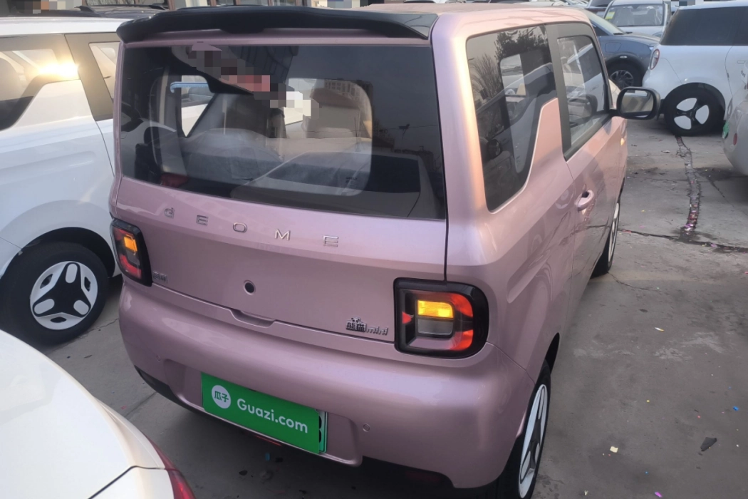 Geely Galaxy Panda 2025 210km Vitality Bear