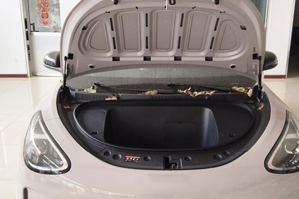 Geely Galaxy Wish 2026 310km Youth Edition