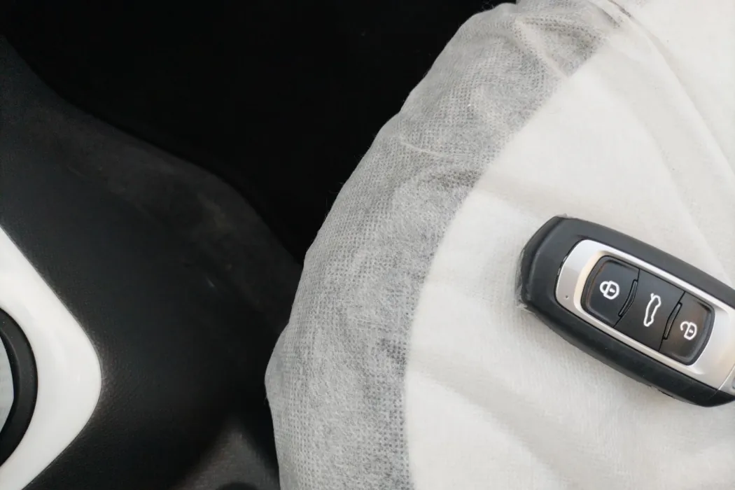 Geely Galaxy Panda 2025 210km Vitality Bear