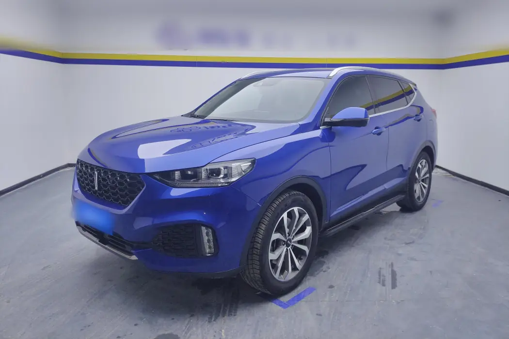 Wei brand VV6 2018 2.0T two-wheel drive flagship national V