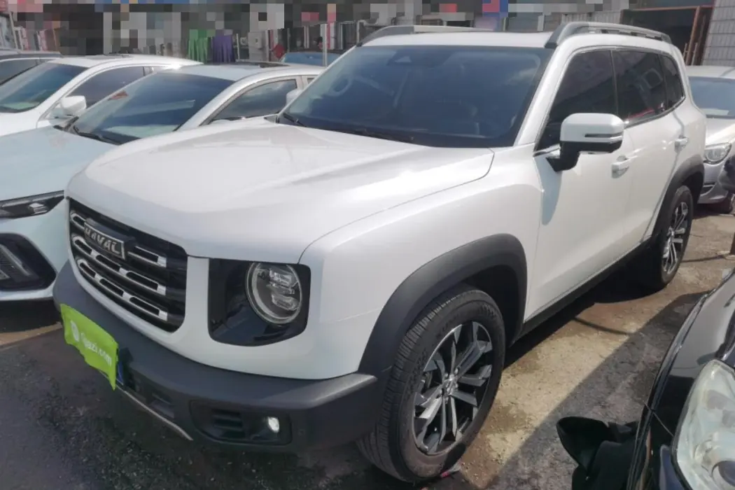 Havoc Big Dog 2022 1.5T DCT 2WD Border Ranch Edition