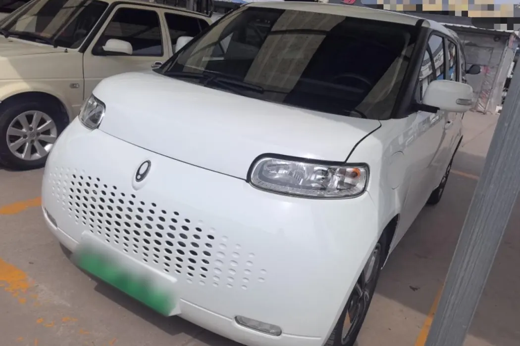 Euler White Cat 2020 Model 305km Luxury Type