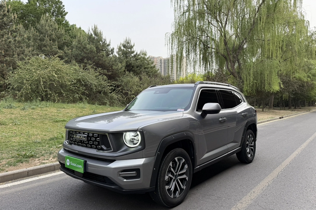 Havoc II Big Dog 2023 1.5T 2WD Tide Wild Plus