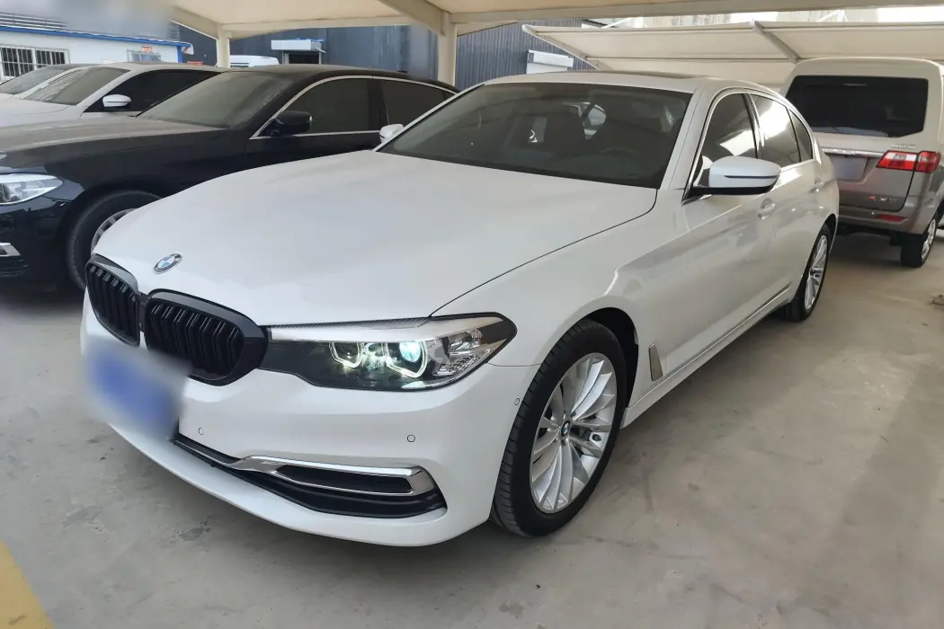 BMW 5 Series 2019 Modified 530Li Leader Luxury Package