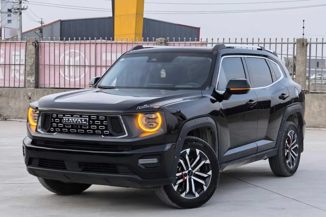 Havoc II Big Dog 2023 2.0T 2WD Tide Wild Plus
