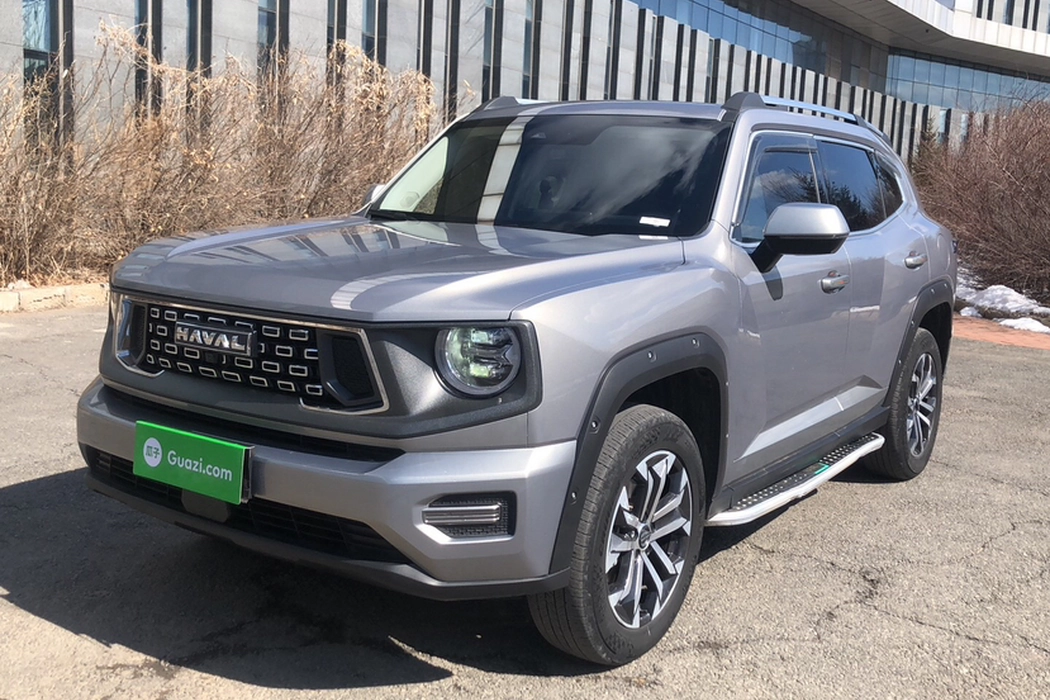 Havoc II Big Dog 2023 2.0T 2WD Tide Wild Edition