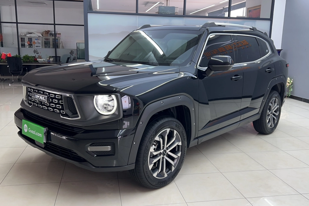 Havoc II Big Dog 2023 2.0T 2WD Tide Wild Plus