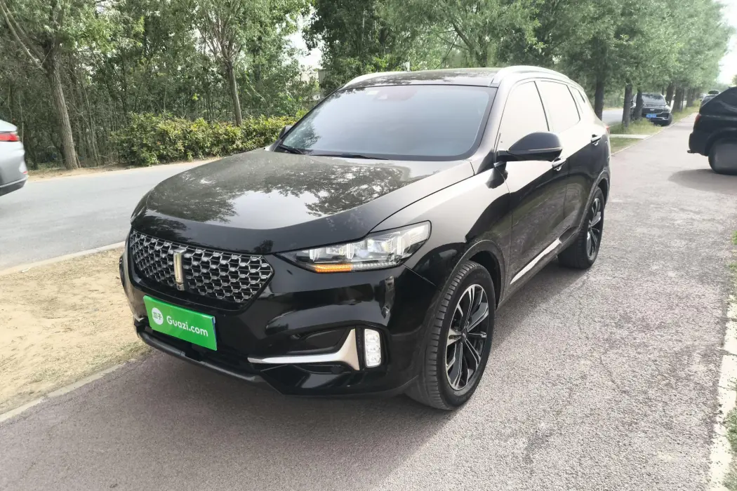 Wei brand VV6 2021 2.0T two-wheel drive smart protection+