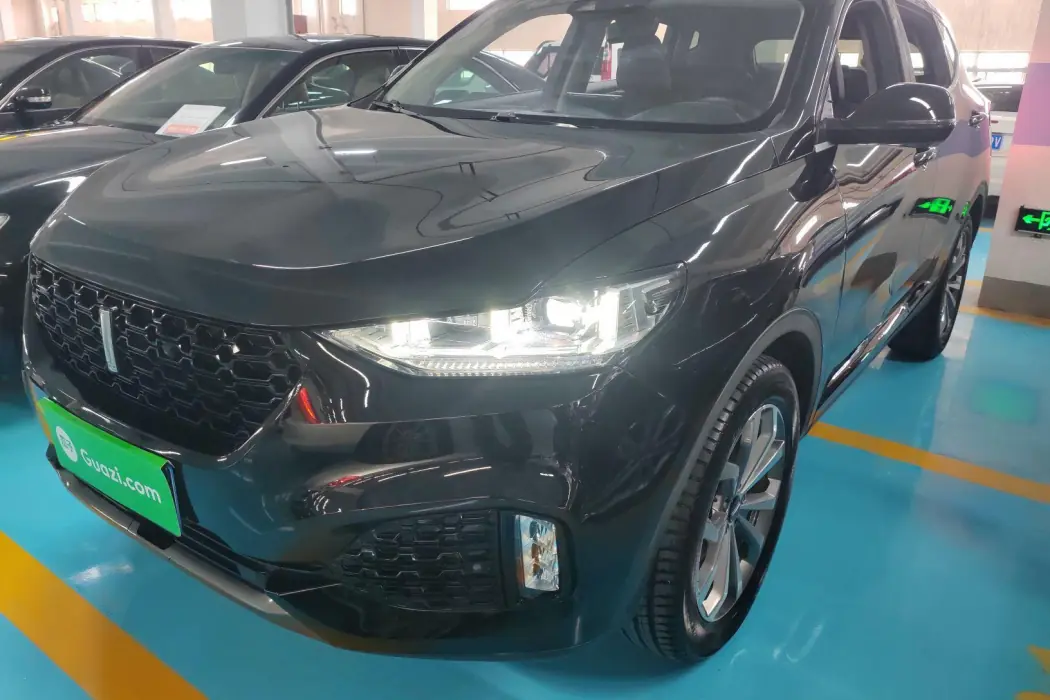 Wei brand VV6 2018 2.0T two-wheel drive super luxury national V