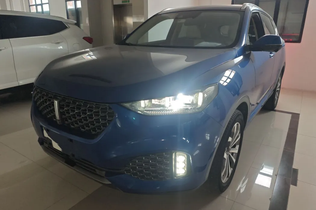 Wei brand VV6 2020 2.0T two-wheel drive smart enjoy+