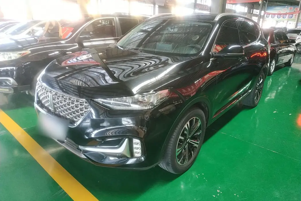 Wei brand VV6 2021 2.0T two-wheel drive smart protection+