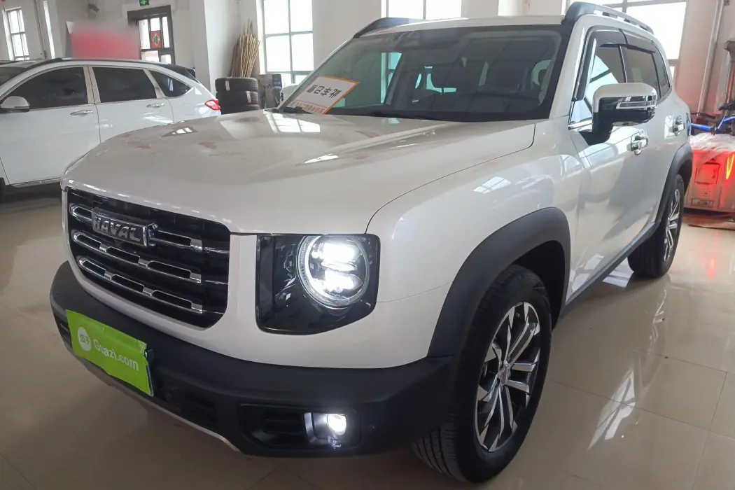 Havoc Big Dog 2021 1.5T DCT 2WD Sidekick - Wanted Edition
