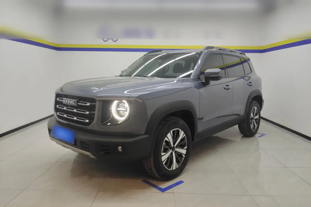 Haval Big Dog 2022 1.5T DCT Two-wheel drive Labrador Version
