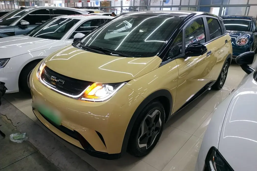 BYD Dolphin 2021 405km Fashion Version