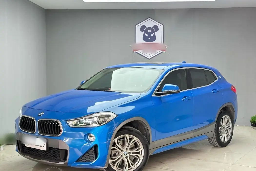 BMW X2 (Import) 2018 sDrive25i Leader M Off-Road Package State V