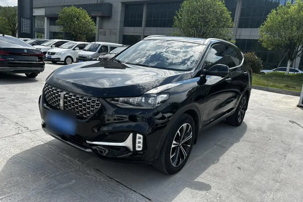 Wei brand VV6 2021 2.0T two-wheel drive smart protection+