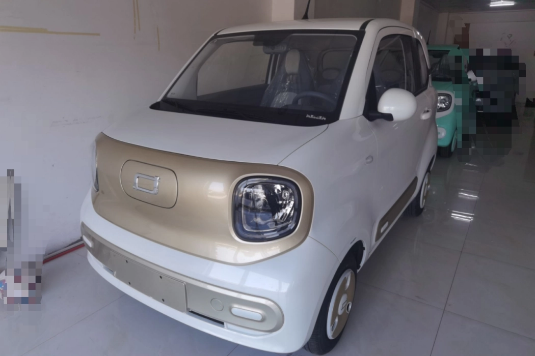 Pentium Pony 2025 222km Smart Horse