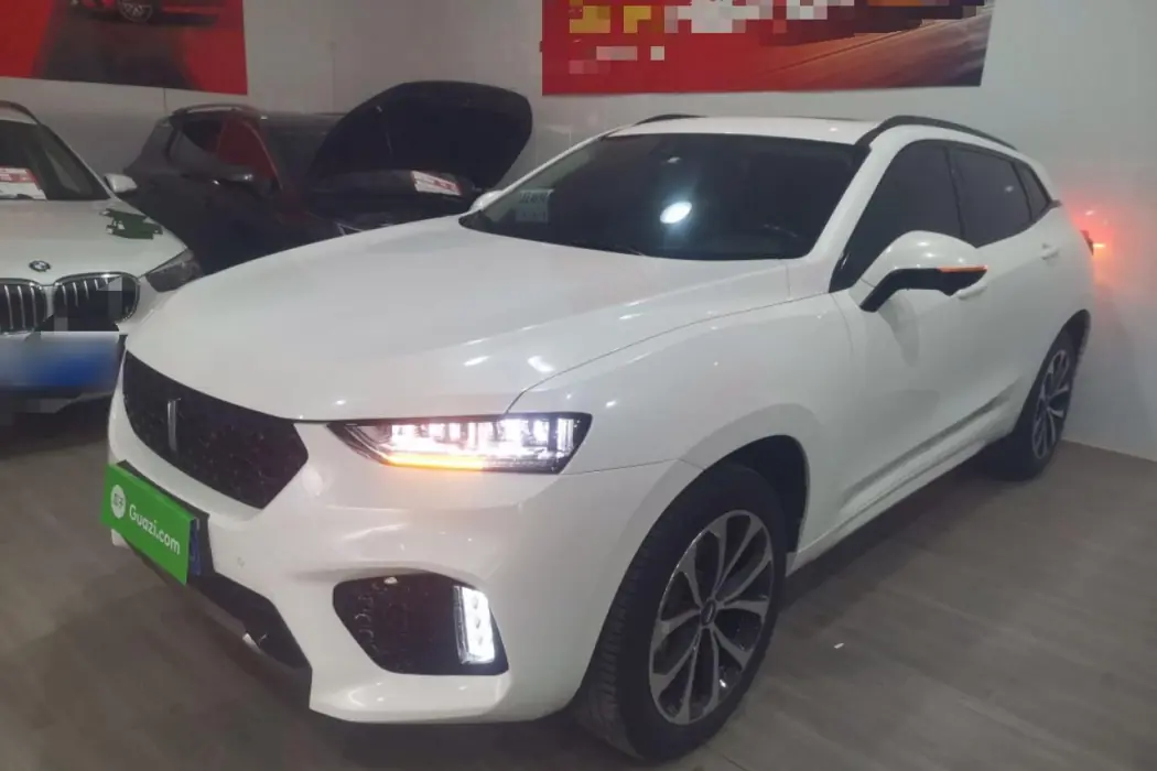 Wei brand VV7 2019 upgraded 2.0T Super Luxury National V