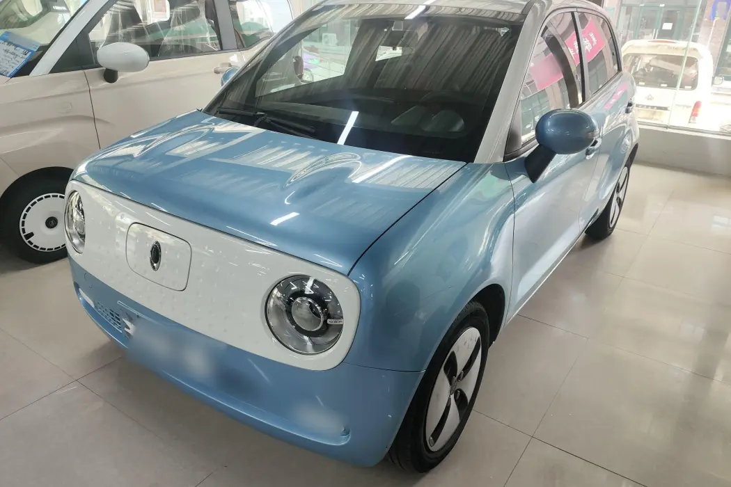 Euler Black Cat 2021 Model 301km Basic Type