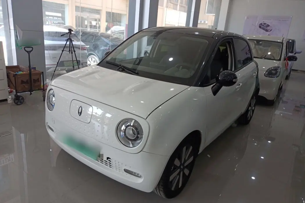 Euler Black Cat 2022 model 351km standard Ternary Lithium