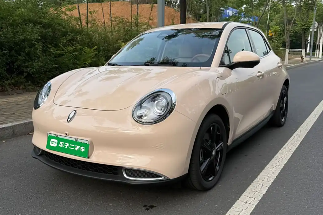 Euler Good Cat 2024 401km Luxury Type