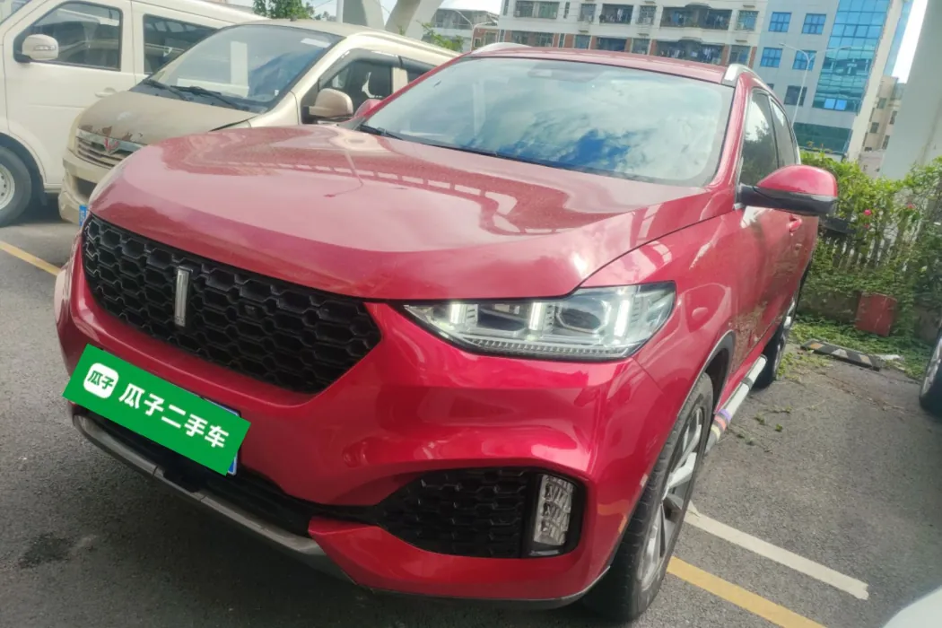 Wei brand VV6 2018 2.0T two-wheel drive super luxury national V