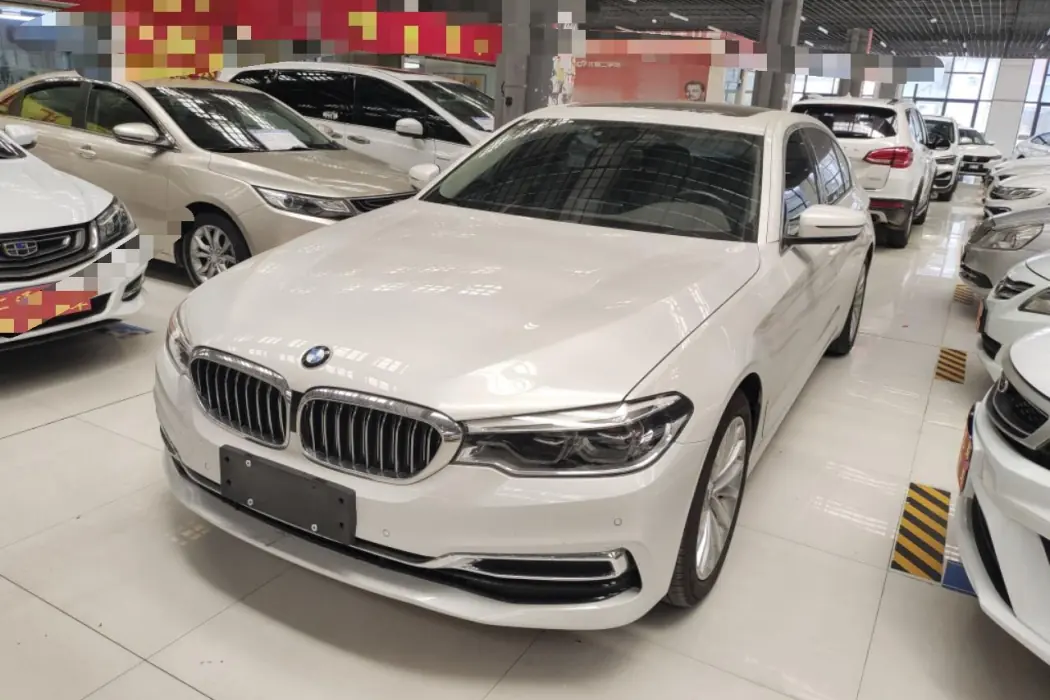 BMW 5 Series 2020 530Li Leader Luxury Package