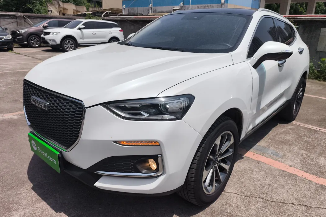 Haval F5 2019 National Tide Edition 1.5T i Tide National VI