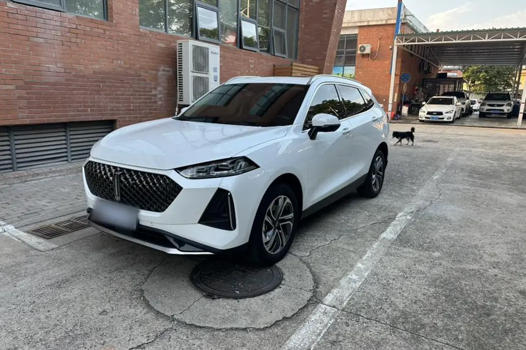 Wei Brand Macchiato 2021 1.5L DHT Special Edition
